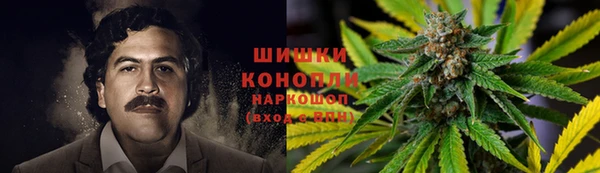 спиды Осташков